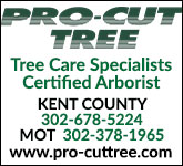 Pro-Cut Tree Tall Sponsorship Banner